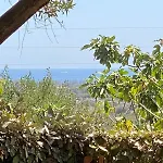 Mirto Piscina Condivisa * Budoni