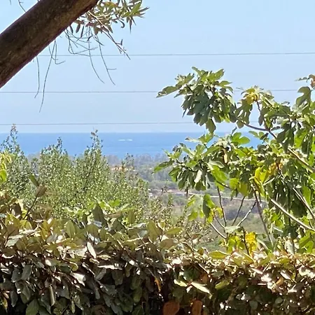 Mirto Piscina Condivisa * בודוני